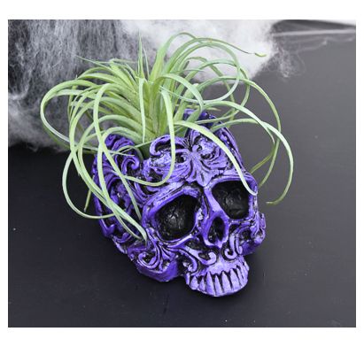 Product image 160